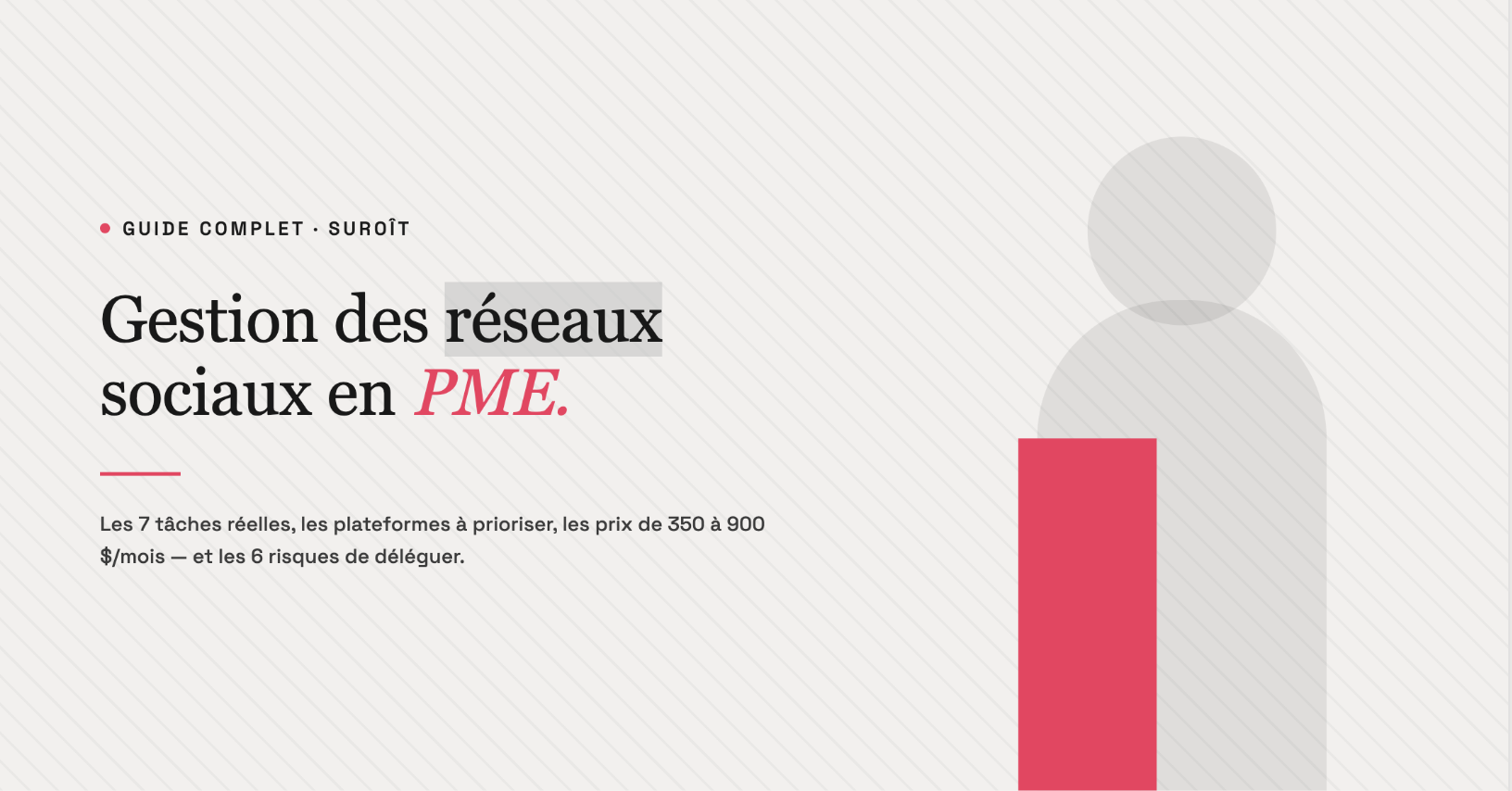 Gestion des réseaux sociaux pour PME